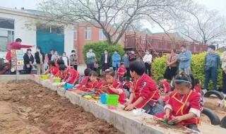 幼儿园招生简章图片 幼儿园招生简章图片